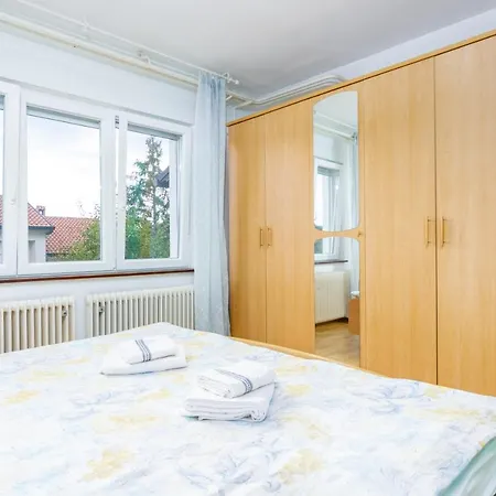 17562a Apartment Buzet